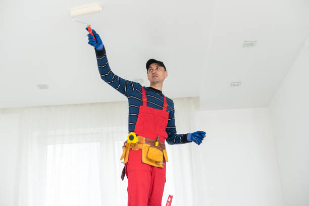 Best Water Damage & Mold Remediation  in Taylor, AZ